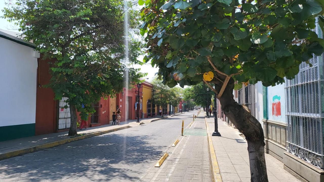 Apartament Oaxaca Departments Independencia Zewnętrze zdjęcie